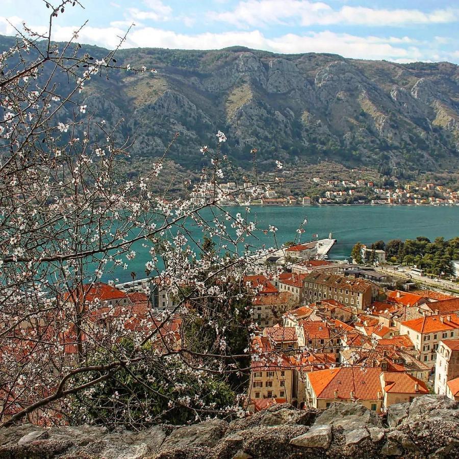 Old Town Kotor Square Daire Dış mekan fotoğraf